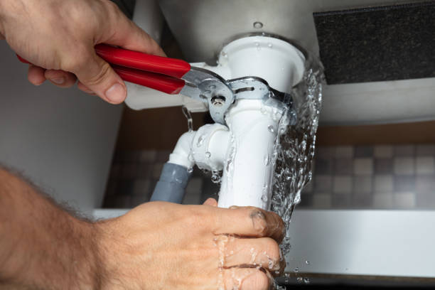 Best Ceiling water damage repair  in Citronelle, AL