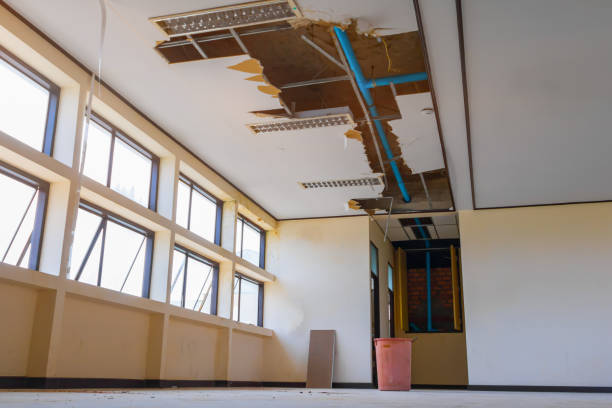 Best 24/7 water damage repair  in Citronelle, AL