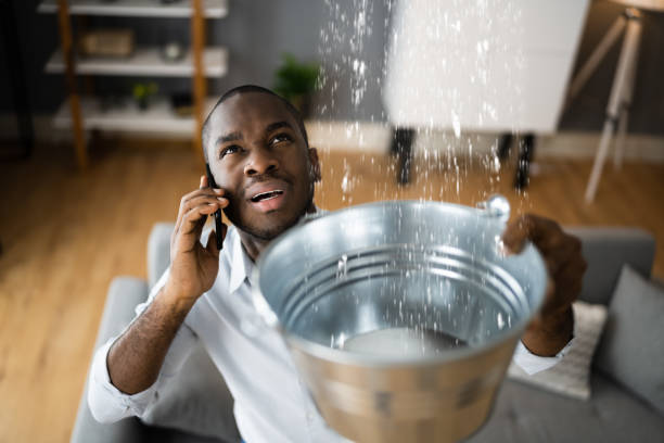 Best Water damage cleanup near me  in Citronelle, AL