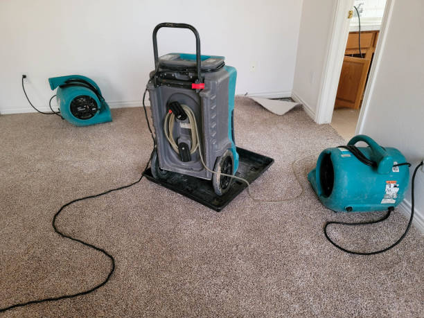 Best Water damage restoration cost  in Citronelle, AL