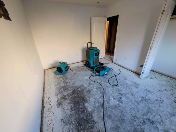 Best Flood restoration services  in Citronelle, AL