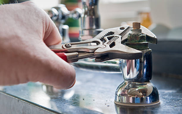 Best Flood restoration services  in Citronelle, AL