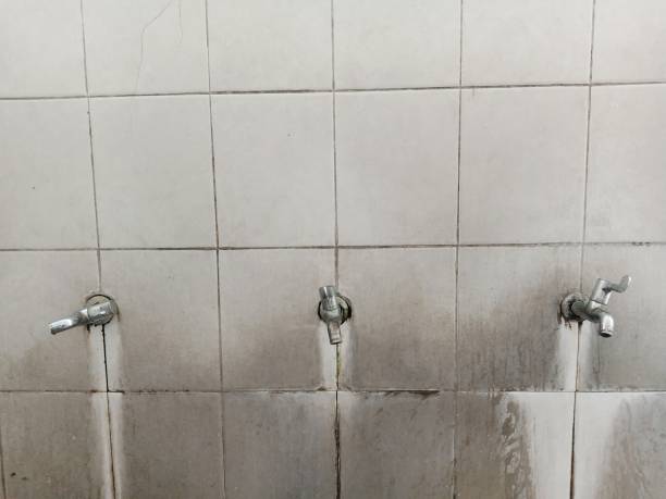 Best Carpet water damage restoration  in Citronelle, AL