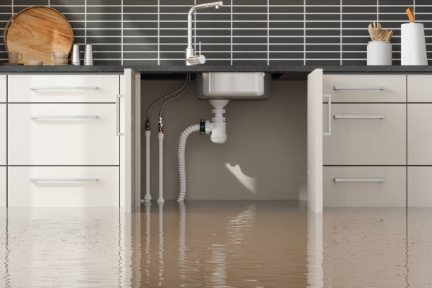 Best Emergency water extraction  in Citronelle, AL