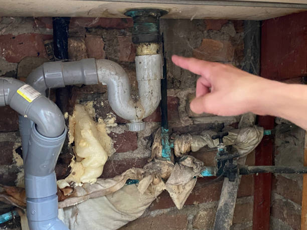 Best Fire Damage Restoration  in Citronelle, AL