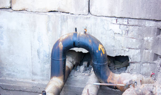 Best Water damage restoration near me  in Citronelle, AL