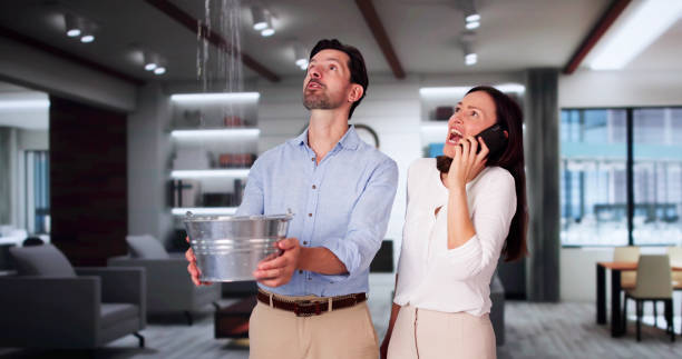 Best 24/7 water damage repair  in Citronelle, AL