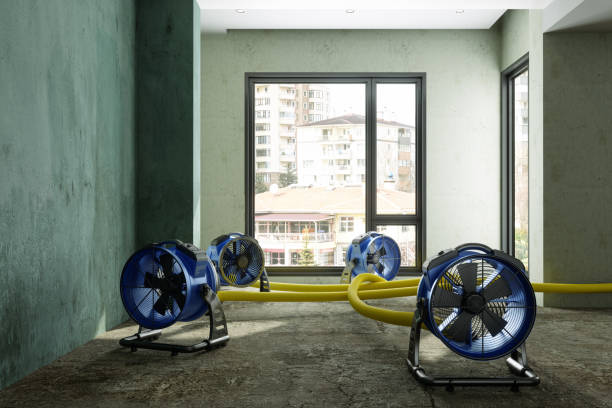 Best Sewage cleanup and water damage restoration  in Citronelle, AL
