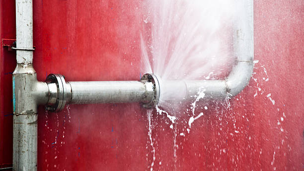 Best 24-hour water damage restoration  in Citronelle, AL