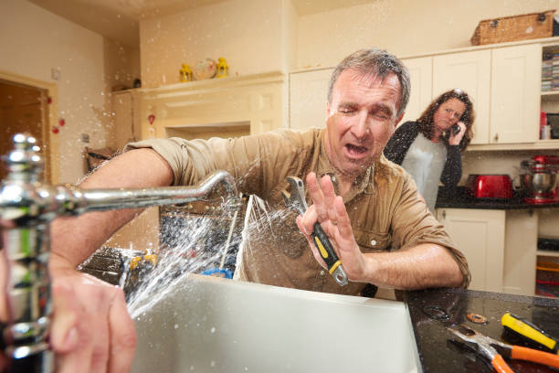 Best Water damage contractors near me  in Citronelle, AL